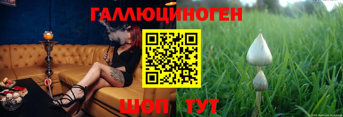 Галлюциногенные грибы Psilocybine cubensis Кувандык